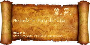 Molnár Patrícia névjegykártya